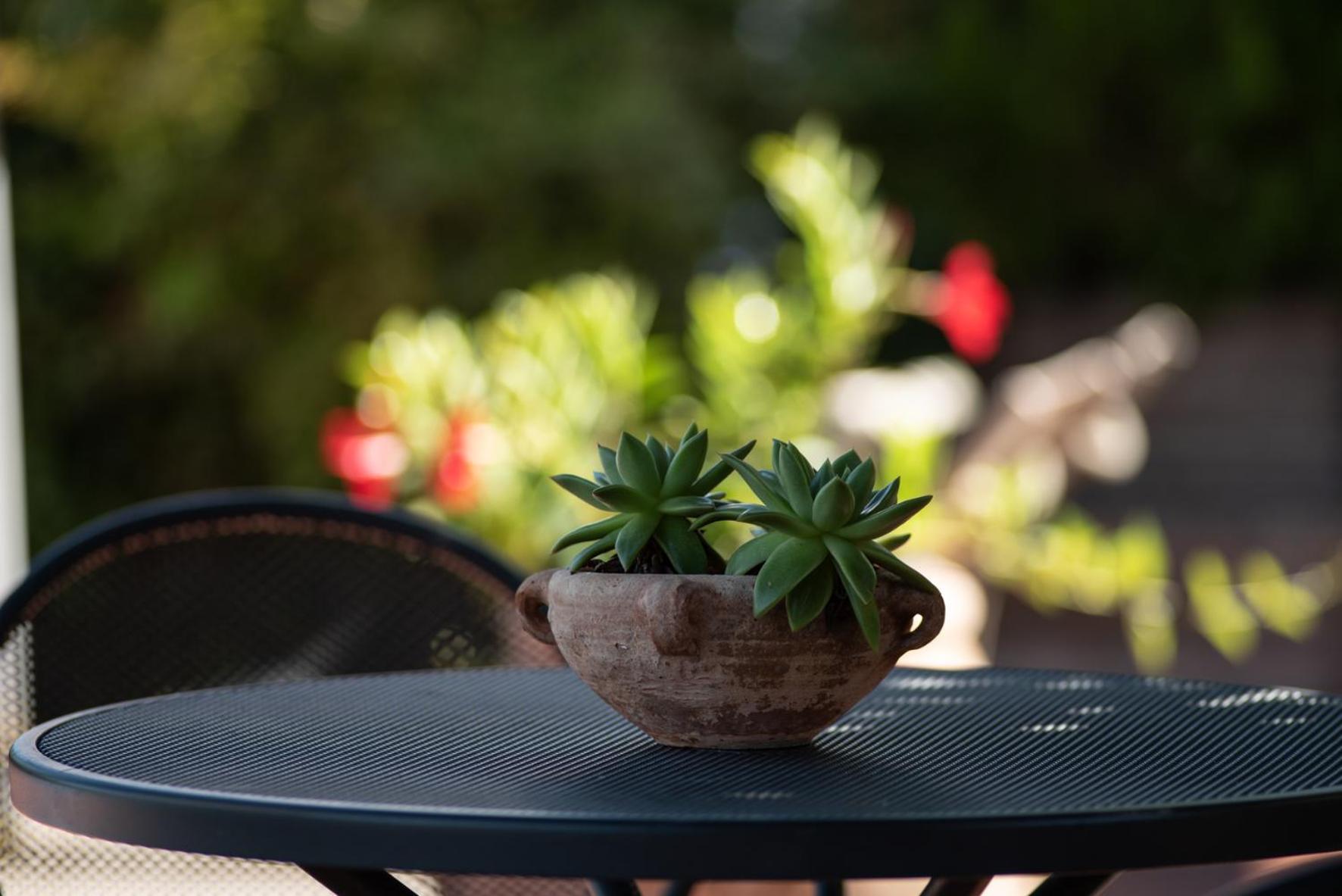 Agriturismo Il Colle Βίλα Σιένα Εξωτερικό φωτογραφία