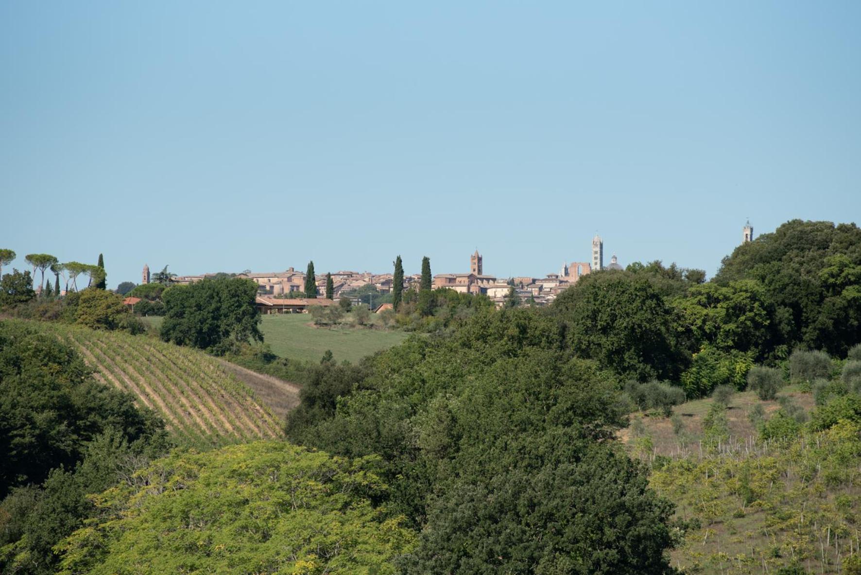 Agriturismo Il Colle Βίλα Σιένα Εξωτερικό φωτογραφία