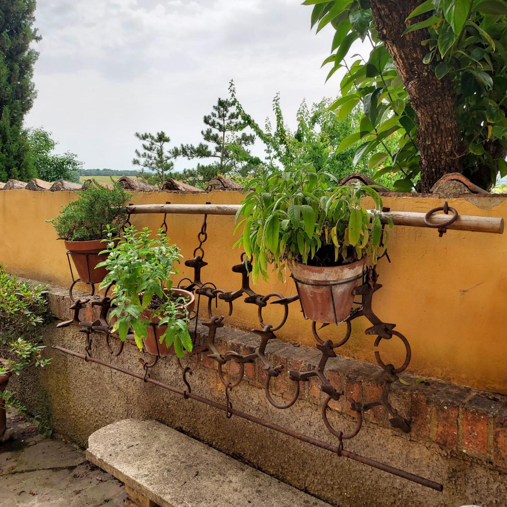 Agriturismo Il Colle Βίλα Σιένα Εξωτερικό φωτογραφία