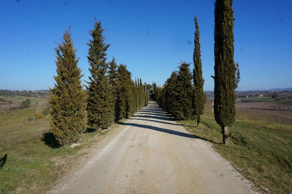 Agriturismo Il Colle Βίλα Σιένα Εξωτερικό φωτογραφία